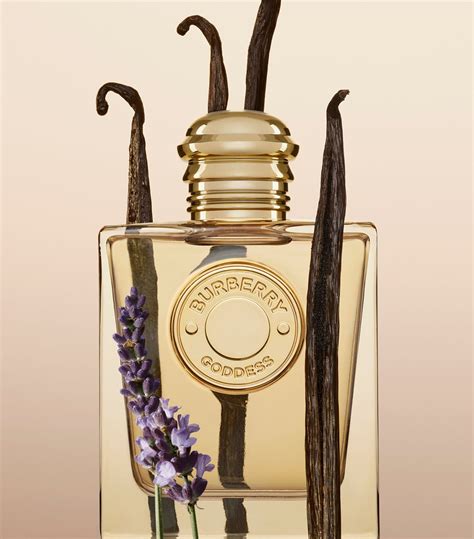 what is in burberry goddess|where to buy burberry goddess.